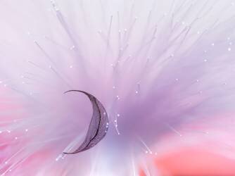 Untitled (Konstantin Selezenev) - Muzeo.com