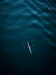 Untitled (Inge Schuster) - Muzeo.com