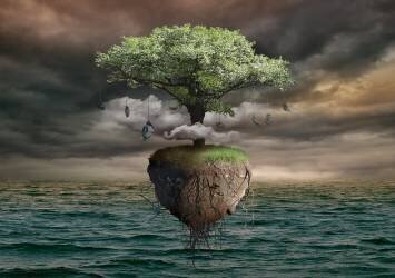 Untitled (Radoslav Penchev) - Muzeo.com