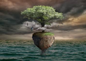 Untitled (Radoslav Penchev) - Muzeo.com