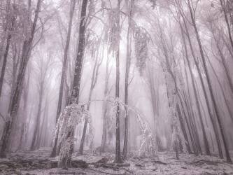 Untitled (Stanislav Hricko) - Muzeo.com