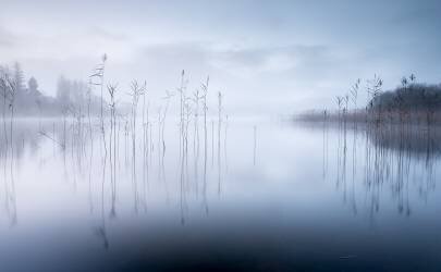 Untitled (David Ahern) - Muzeo.com