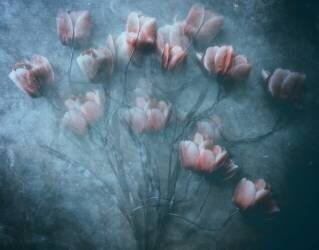 Untitled (Kahar Lagaa) - Muzeo.com