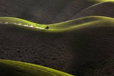 Untitled (UU) - Muzeo.com