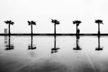 Untitled (Ali Ayer) - Muzeo.com