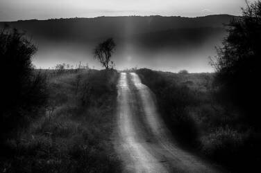 Untitled (Miki Meir Levi) - Muzeo.com