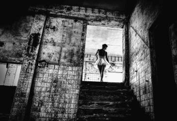 Untitled (Paulo Medeiros) - Muzeo.com