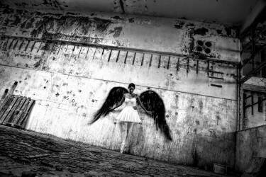 Untitled (Paulo Medeiros) - Muzeo.com