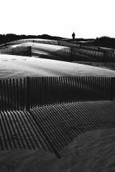 Untitled (Rui Ferreira) - Muzeo.com