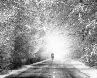 Untitled (Stanislav Hricko) - Muzeo.com