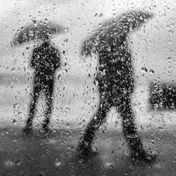 Untitled (Josefina Melo) - Muzeo.com