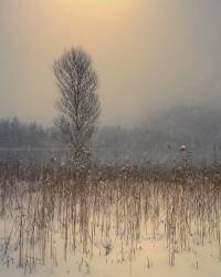 Untitled (Anastasios Gialopoulos) - Muzeo.com