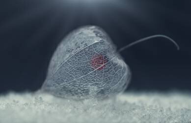 Untitled (Nikki Georgieva V) - Muzeo.com