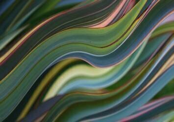 Untitled (Robin Wechsler) - Muzeo.com