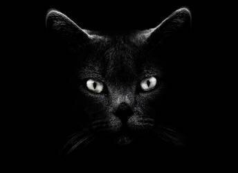 Untitled (Antonio Grambone) - Muzeo.com