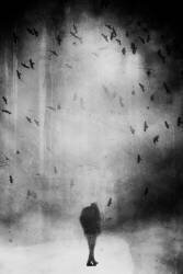 Untitled (Dianela Riegler) - Muzeo.com