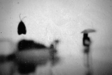 Untitled (Teruhiko Tsuchida) - Muzeo.com