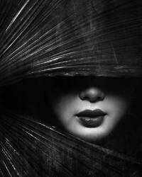 Untitled (Anthony Skip) - Muzeo.com