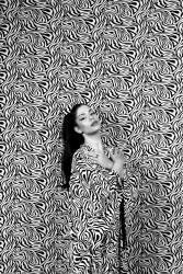 Untitled (Shay Lev Ari) - Muzeo.com