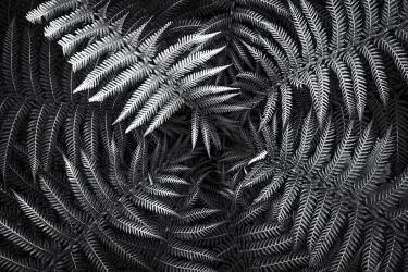 Untitled #56 (Gary E. Karcz) - Muzeo.com