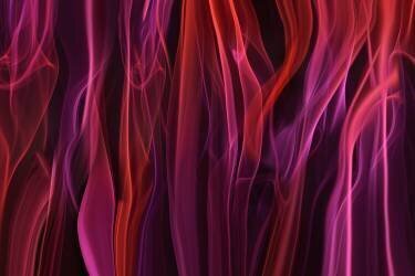 Volatile curtains (Heidi Westum) - Muzeo.com