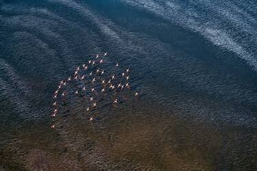 Wave Runner (John Fan) - Muzeo.com