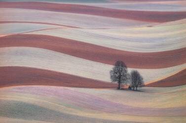 Waves (Ales Komovec) - Muzeo.com