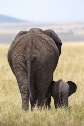 We're gone (Alejandro Metzger) - Muzeo.com