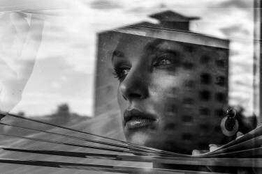 Window (Martin Krystynek MQEP) - Muzeo.com