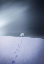 Winter (Bess Hamiti) - Muzeo.com
