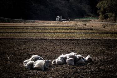 Winter agriculture (Yuusuke Hisamitsu) - Muzeo.com