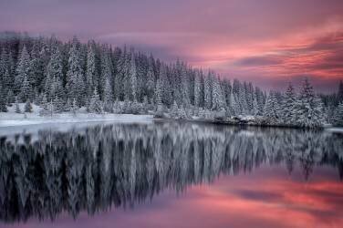 Winter Fairytale (Albena Markova) - Muzeo.com