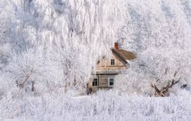 Winter Tale (Vlad Sokolovsky) - Muzeo.com