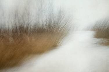 Wintertime (Nel Talen) - Muzeo.com