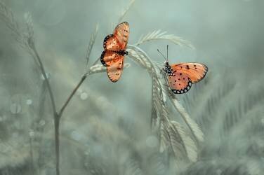 With You (Edy Pamungkas) - Muzeo.com