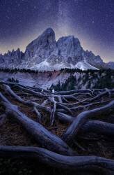 Wurzjoch (David Ilkovic) - Muzeo.com