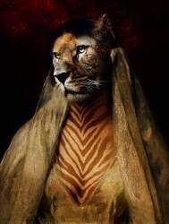 Zebra Lioness (Enza Paoli) - Muzeo.com