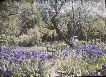 Beaulieu, villa Salles, jardin japonais (anonymous) - Muzeo.com