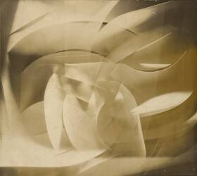 Cut-paper Abstraction (Francis Bruguière) - Muzeo.com