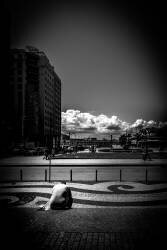 Candelária Nº3 (Guilherme Pontes) - Muzeo.com