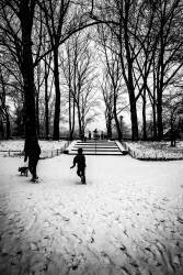 Central Park Steps (Guilherme Pontes) - Muzeo.com