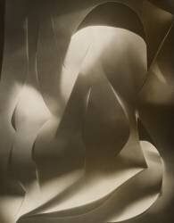 Cut-paper Abstraction (Francis Bruguière) - Muzeo.com