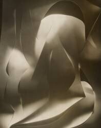 Cut-paper Abstraction (Francis Bruguière) - Muzeo.com