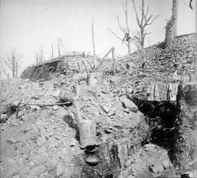 Une tranchée au sommet de l'Hartmannswillerkopf (Jean Segaud) - Muzeo.com