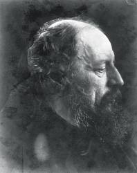 Alfred (Julia Margaret Cameron) - Muzeo.com
