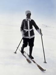 Skier (Waldemar Abegg) - Muzeo.com