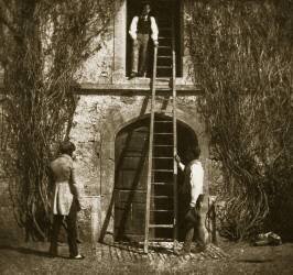 The ladder (William Henry Fox Talbot) - Muzeo.com