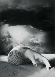 Sans titre [Main-coquillage] (Dora Maar) - Muzeo.com