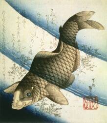 A Carp Swimming among Waterweeds (Katsushika Taito II) - Muzeo.com