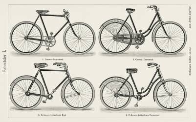 Bikes (anonymous) - Muzeo.com